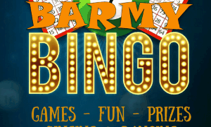 Barmy Bingo